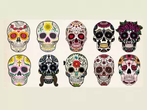 Избери си череп и ще ти кажем какъв човек си!