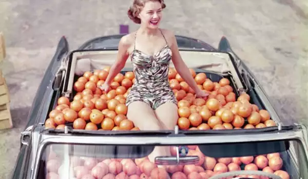Тези снимки показват как е изглеждал животът през 50-те години