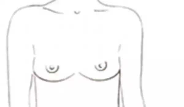 Деветте типа женски гърди и техните функции