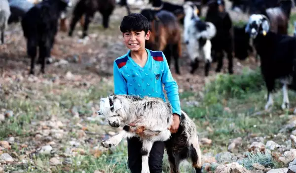 Вижте снимките на последните номади в Турция
