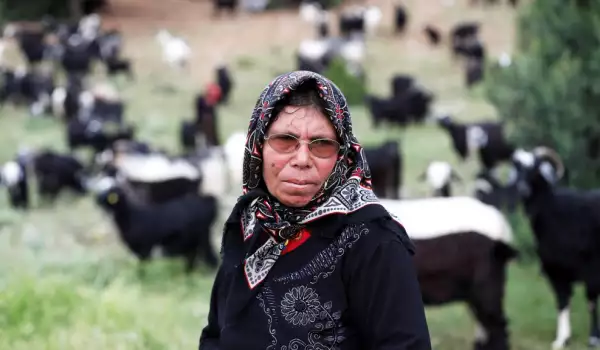 Вижте снимките на последните номади в Турция