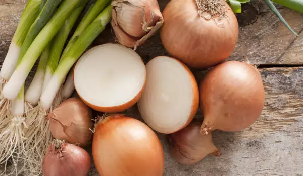 Лук