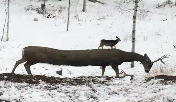 Тези неуспешни панорамни снимки ще ви изкарат ангелите
