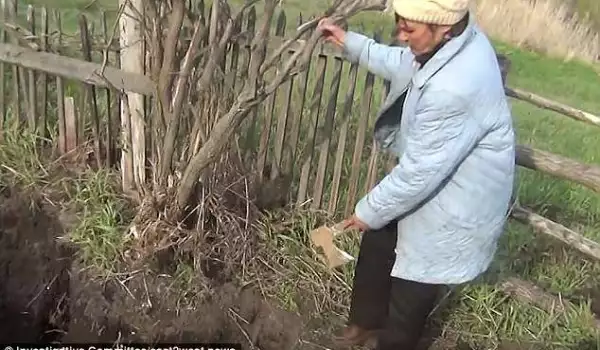 Черепа на убития съпруг в двора