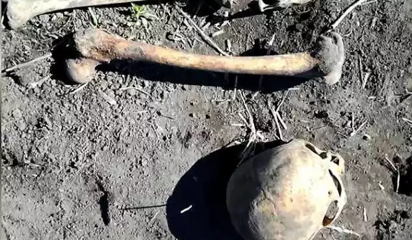 Черепа на убития съпруг в двора