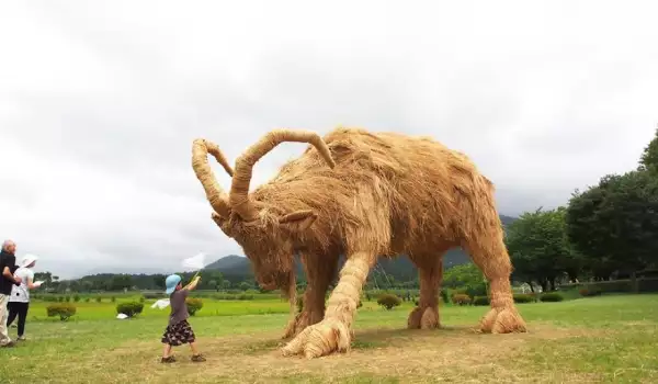 Wara Art